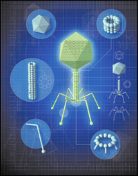   MIT     7,   (   sciam.com).