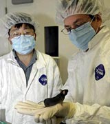 ��������� ����� � ��� ������� ����� ��� (Yongxu Wang), ������� ������������, ������ "�����������" ���� (���� � ����� globetechnology.com).