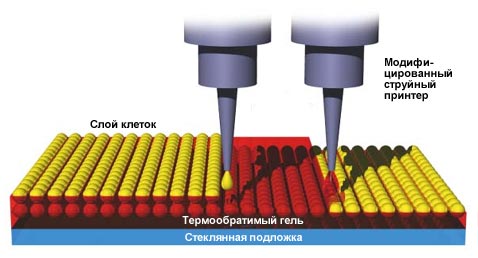      (   newscientist.com).