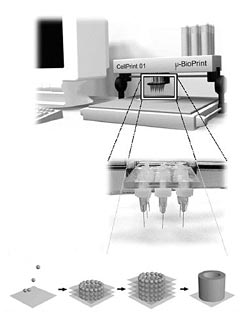         (   radio.weblogs.com).