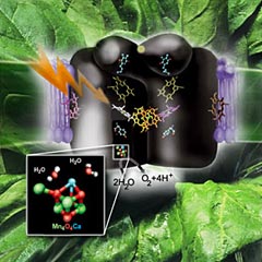 ����� ����� ����������� � ���� �� �������������� ��������� ��������� OEC (����������� � ����� lbl.gov).