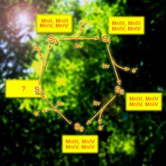 ���� ����������� ������ ������ �������� (����������� � ����� lbl.gov).