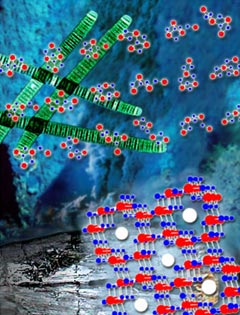 �� ��� ������ ������� �������� ����������, ���������� ��������� �������� � ���������, ������������ OEC. ��������, ������� �������� �� ������ ����� ������������ �������� ���������� ��� ���������� ����������� (����������� � ����� lbl.gov).