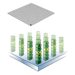     - (   affymetrix.com).