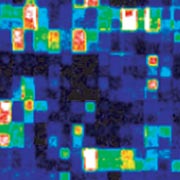      . , ,         . , ,   ,        (   affymetrix.com).