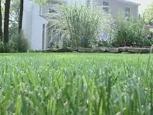 ��� ����� ��� �� �����, ����� �� ����� ���������� �����, ������, � ������� �� ��� �������� (���� � ����� sciencentral.com).