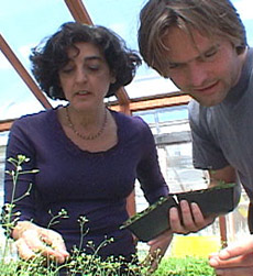 ����� ���� � ���� �� � ������ ������� ���������������� �������� � ������������� ������ (���� � ����� sciencentral.com).