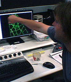 ���������, ��� ����������� �������� �� ��� ������� ����������, ���� ����� �� ������� � ������. � ��� �� ��������� ���� ���������� ���, ��� � �������� ������ ���� ������. �� ����, ����������� ���� ����������� ��������� �� ������� ������, � ���� ������ �� ��� (���� � ����� sciencentral.com).