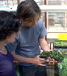 ���������� ����� � ��� ������ ������. � ������ � ������ � ����� ����� �������� (���� � ����� sciencentral.com).