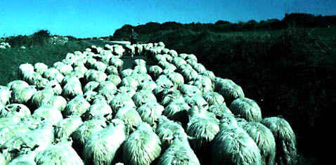 ���� ����, ��� ������� ������ � ���� ������, ��� ������ �� ����� "������" � ������ (���� arkeologi.uu.se).