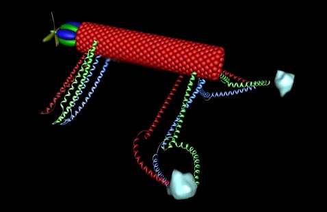 ������������&nbsp;� ����� �������� ����������� ����������� ����� ��������. �� ������ � ���������, � ���������� �������� ������������ �������. ��� �� �����? (����������� � ����� foresight.org).