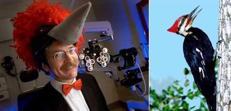 ����� ���� ��������� � ������ �������� ����� ������������ � �����. ���� �� ������ �������, ������ � ���� �� �����. �� ������ ������ � ��� �������� ����� (���� Sacramento Bee/Randall Benton).