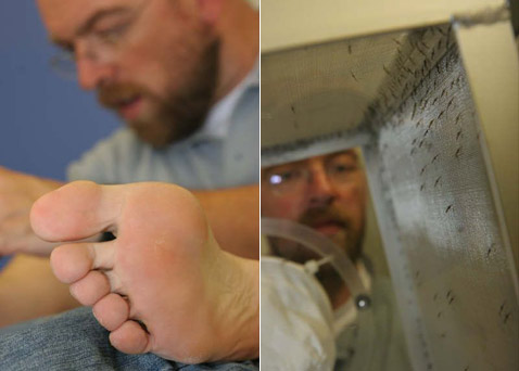 ���� ���� (�� ����� ���� �����), ������� ���� � ������ (���� � ����� ent.wur.nl).