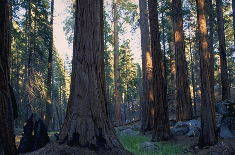 ��� ��� ������� �������� ������� ��� ����� (���� � ����� photo.net).