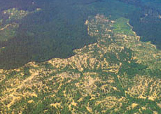 �� ��� ��������, �����, � ������� (���� � ����� tacticalmagic.org).