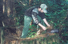 ������� � ������ ������������� ������ (���� � ����� tacticalmagic.org).