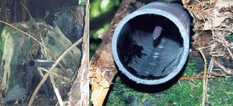 ��� � ���� �������������� �������� ��������� (���� � ����� tacticalmagic.org).