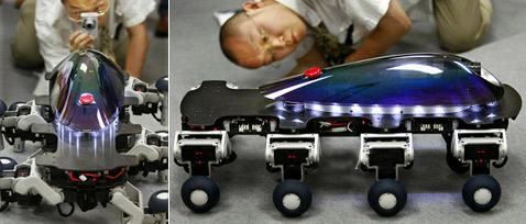 ��� ��� ��� �����: ������ "��������" ���-������ � ��������� �������, ��� ��� �� � ���� ��������� ������� � ������������� (���� AP/Itsuo Inouye).