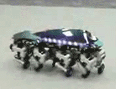 "����! ������ ���������? ��� ����� iPhone ���� ���� ���-�� �������" (����� pinktentacle3/youtube.com).