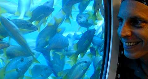   ,     (   uncw.edu).