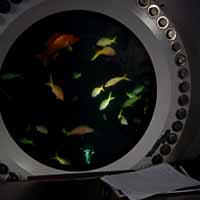   ,      (   uncw.edu).