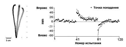 :  ,     .         ,     ,       . :          ,      (   graybiel.brandeis.edu).