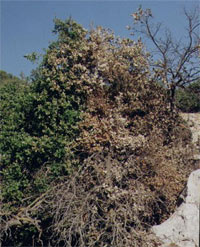 ���������� ��������� ���� �� ����� ������� ����������� ��������� � ��������.