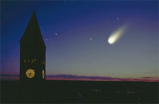 ������ ���� �� ����, �� �� ���� ���� �� ���� ����� ���� (���� � ����� News.cornell.edu).