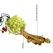 ������� ���������� ������� �������� Automate.