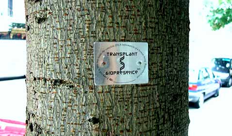 ��������������, ��� �� �������-���������� ����� ��������� ��������� �������� ������� (���� � ����� biopresence.com).