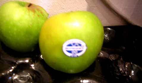 � ��� �� ������ �� ��������, ����������� �� ������� ��� �������� ��������, ���������� ������� �� �� ���� (���� � ����� biopresence.com).