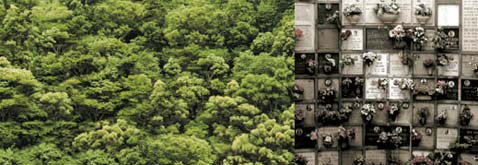 ������ �������� � �������� ����, �����&nbsp;� ��������� ��� � ��������� ����� (���� � ����� capsulamundi.com).