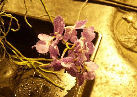 ���� ������ �� �������������� ����, ��� ������ �� ��� "�����" (���� � ����� westerplatte.net).