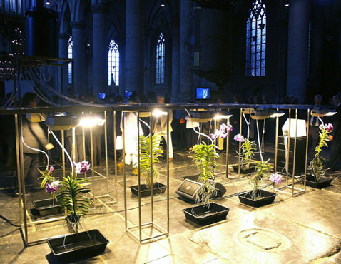 �������� ���������� ��� �������� ����� (���� � ����� westerplatte.net).