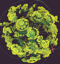 ������������ ���� ������ (���� � ����� westerplatte.net).