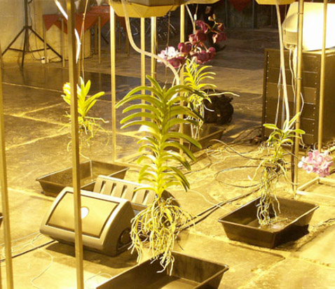 "�� ����� ��� ������" (���� � ����� westerplatte.net).