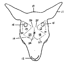 ��������� ���� ������, ����� ������� ��������� (����� � ����� patent.freeserve.co.uk).
