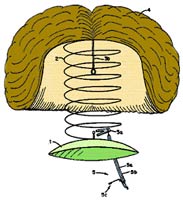 �� ��� ���������, ��� ��������� ����������, ������ � ��� ����� �� �������?