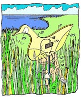 ���� �� �� ��� �� ����������, ��� �� ���� ����� ���������� �������.