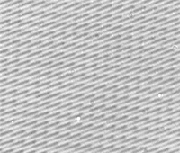   ,      ( ): ,    ,      ,     ( Alexander Sidorenko et al.).