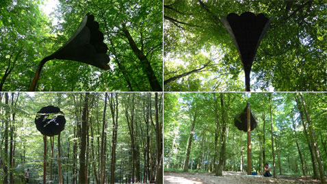          (   scoreforaholeintheground.org).