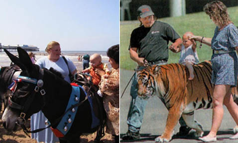 �� ����� ����������� ���� �������� � ������, ������� ���� �� ��������. �� ���� �� ������� ��� �������� �����������, � ������ ���. ����� ��������, ������ ��� (���� � ����� chromo11.com).