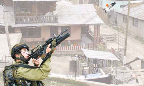    Firefly ("")   Smart Arrow ,     ,  ,        ( Rafael Armament Development Authority).