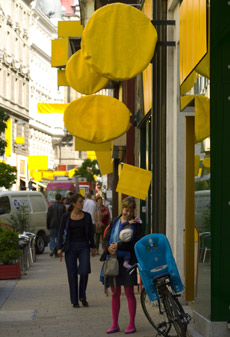      .   (   steinbrener-dempf.com).