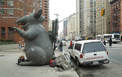   .       Scabhunter.    "  " ( andy in nyc/flickr.com).