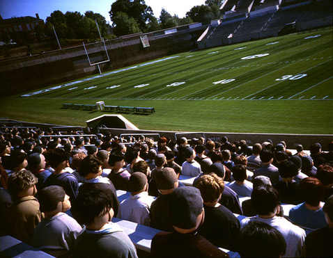  , , ,     ,      ( GLOPS/Flickr.com).