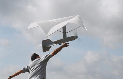    CyberBUG    (   cyberdefensesystems.com).