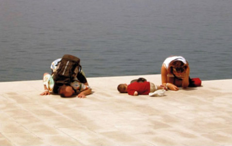 C ���������� ���������, �������� ���������� � ���������, � "�������� ������" ������ ���������� ����� ���������. � ������� ����� ������ �� �� �������� ����������� ���������� ����� (���� � ����� seaorgans.com).