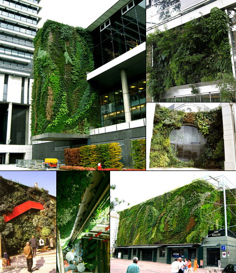 ��������� �������� ����� ���� ������ (���� � ����� verticalgardenpatrickblanc.com).