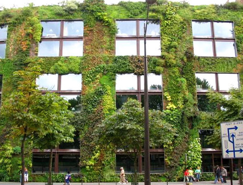 ����� ����� ���� ������. ��� �� ����� ������� ����� �����, ����������� � ����������� ������ ����������, �� ���� �� (���� � ����� verticalgardenpatrickblanc.com).